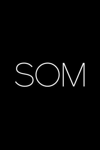 Skidmore, Owings & Merrill LLP: SOM